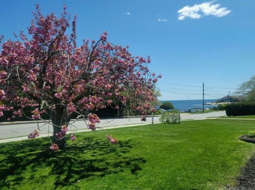 659 Pequot Ave, United States Coast Guard Ac, CT 06320-4230