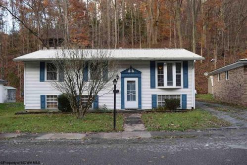 337 Cottage Ave, Valley Chapel, WV 26452-1913