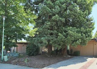 9 Blue Heron Ct, Sacramento CA  95833-1821 exterior