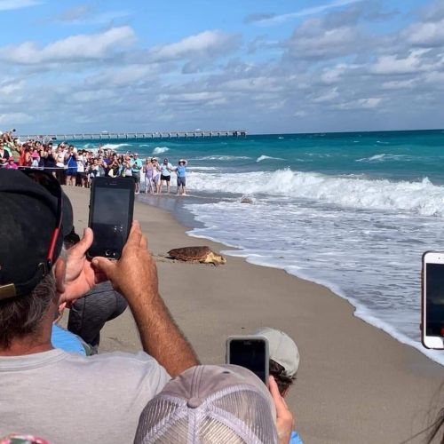 1906 Mainsail Cir, Jupiter FL 33477-1417 exterior