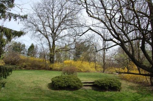 320 Richey Dr, Verona PA  15147-3422 exterior