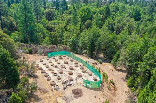 16463 Pine Knoll Rd, Grass Valley CA  95945-8433 exterior