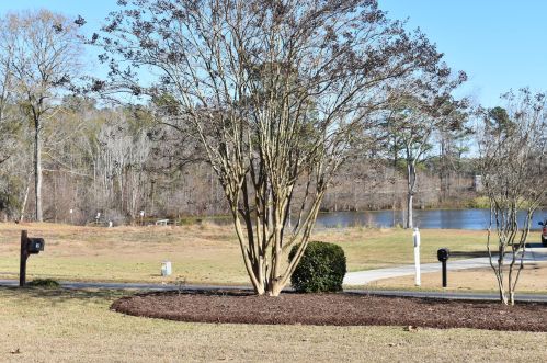 241 Plantation Dr, Foreston SC  29102-9504 exterior