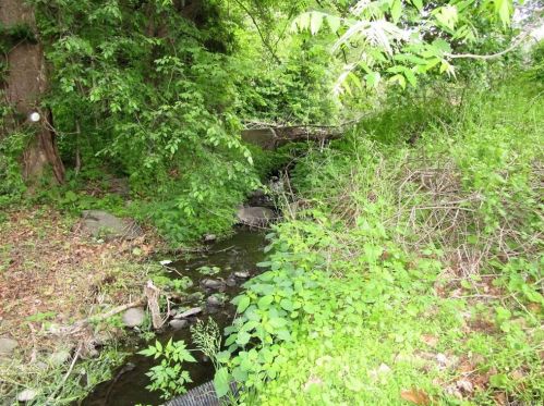 161 Cream St, Poughkeepsie NY 12601-6603 exterior