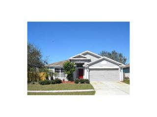 12517 Early Run Ln, Riverview, FL 33578-3311