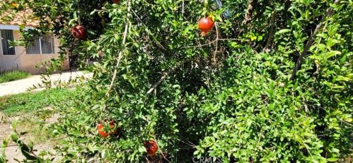 166 Nebraska St, Lake Elsinore CA  92530-1861 exterior