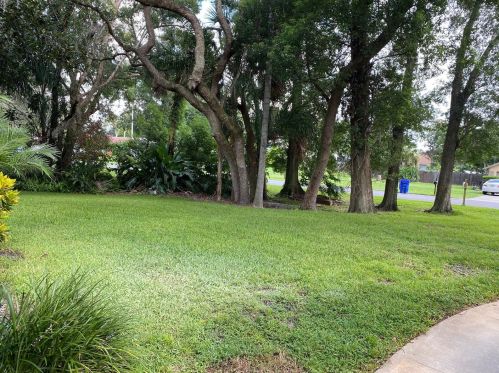 107 Frederick Ave, Lake Mary, FL 32746-2811