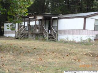 537 Mount Olive Rd, Byhalia, MS 38611-7406