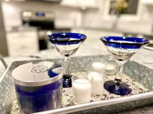 4306 Newgate Ave, Tarpon Springs FL  34691-1707 exterior