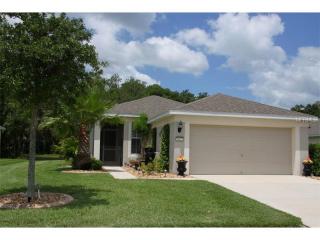 9827 50th Street Cir, Parrish, FL 34219-4421