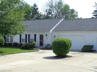 10265 Orchard Hill Ln, Twinsburg, OH 44087-2635