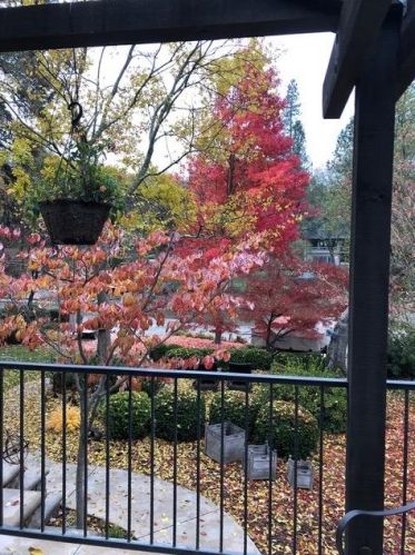 13572 Lake Wildwood Dr, Lake Wildwood CA  95946-9500 exterior