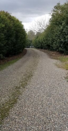 1500 Gold Hill Rd, Newcastle CA  95658-9245 exterior