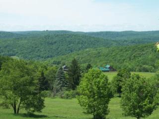 1380 Finch Rd, Franklin, NY