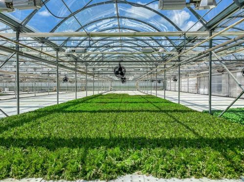 84 Walcott St, Stow MA 01775-1427 exterior