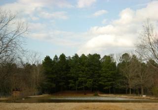 6125 Rolling Acres Dr, Baker, LA 70714-5108