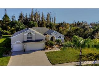 16608 Ivy Lake Dr, Odessa, FL 33556-6018