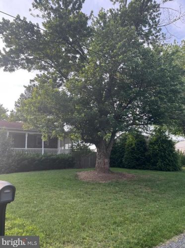 6720 Bleight Dr, Haymarket VA  20169-2927 exterior