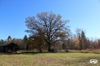 40256 County 36, La Porte, MN 56461