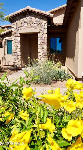 9847 Desert Rose Dr, Scottsdale, AZ 85268-5906