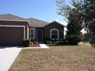 12830 Scout Ct, Grand Island FL  32735-7801 exterior