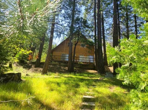 1591 Lily Valley Cir, West Point, CA 95255-9625