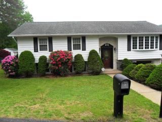 3 Landers Ct, Ashland, PA 17921-9592