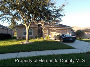 17417 Eagle Trace Dr, Brooksville, FL 34604-9273
