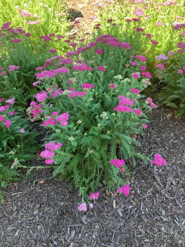 14460 Wilbur Dr, Waukesha WI  53151-5254 exterior