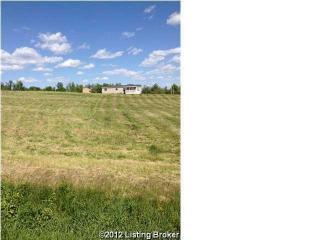 3 Red Hawk Dr, Guston, KY 40142-7143