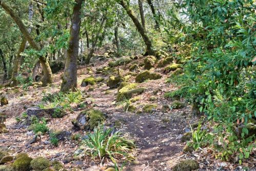 3722 Sleepy Hollow Dr, Santa Rosa CA  95404-1528 exterior