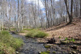 902 Duell Rd, Stanfordville, NY 12581-5456
