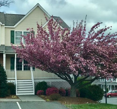 200 Wexview Ln, Lynchburg, VA 24502-3264