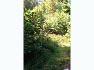 58 Skyline Ter, Asheville, NC 28806-8307