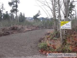 19933 Johnson Rd, Yelm, WA 98597-9094