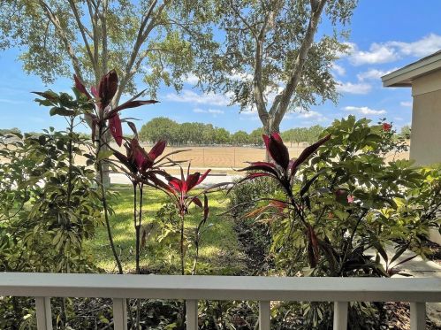3158 Bentley Dr, Palm Harbor, FL 34684-1880