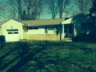334 Rosalind Ave, Wadsworth, OH 44281-1266