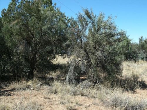 4875 Valley Ln, Mcguireville AZ  86335-5811 exterior