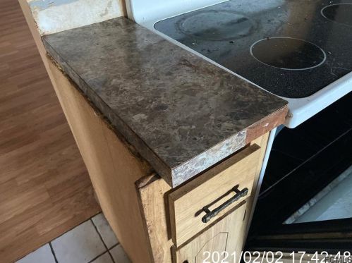 55 Frst Hl Dr, Palm Coast FL  32137-8479 exterior
