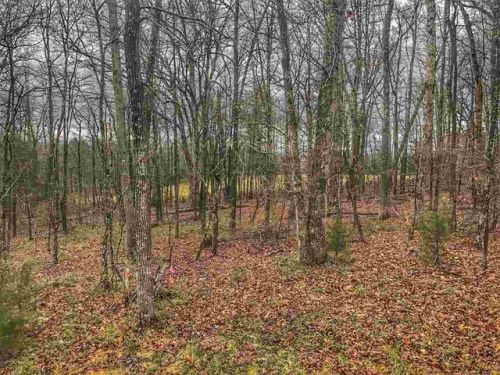 1 Whippoorwill Ln, Richmond National Battlefiel, VA 22835