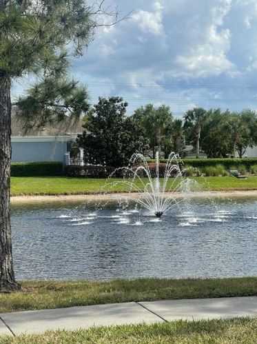 10750 Savannah Wood Dr, Orlando, FL 32832-5569