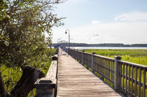 2290 Sandy Point Ln, Mount Pleasant SC  29466-8933 exterior