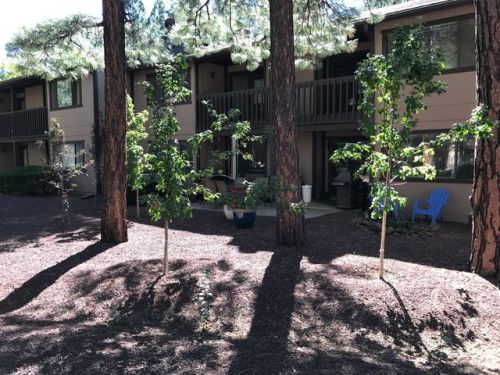 2641 Sports Village Loop, Pinetop AZ  85935-8125 exterior