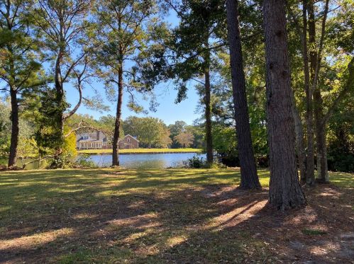 1438 Diamond Blvd, Mount Pleasant SC  29466-9463 exterior