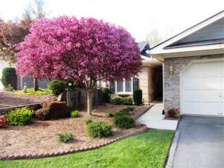 913 Kanuga Rd, Hendersonville NC  28739-5621 exterior