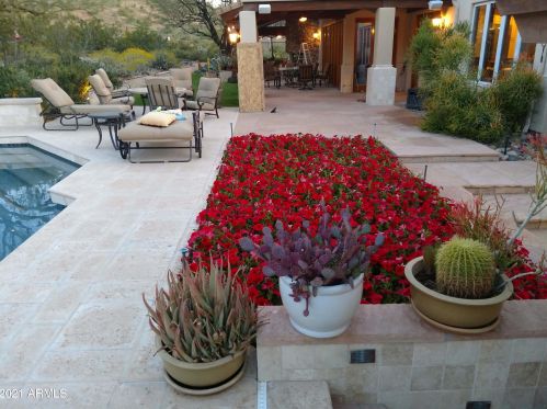 15253 12 St, Phoenix AZ 85086-7358 exterior