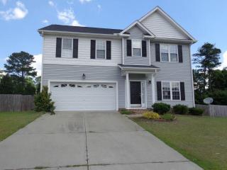 8825 Looking Glass Rd, Linden, NC 28356-9429