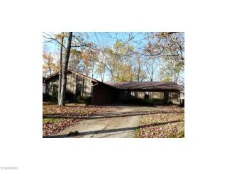 3541 Monte Vista Dr, Brunswick, OH 44212-3649