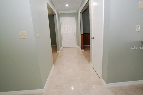 1410 Foggy Ridge Pkwy, Lutz FL  33559-6717 exterior