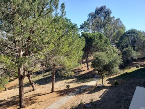 9 Thoreau Cir, Mill Valley CA  94941-4651 exterior